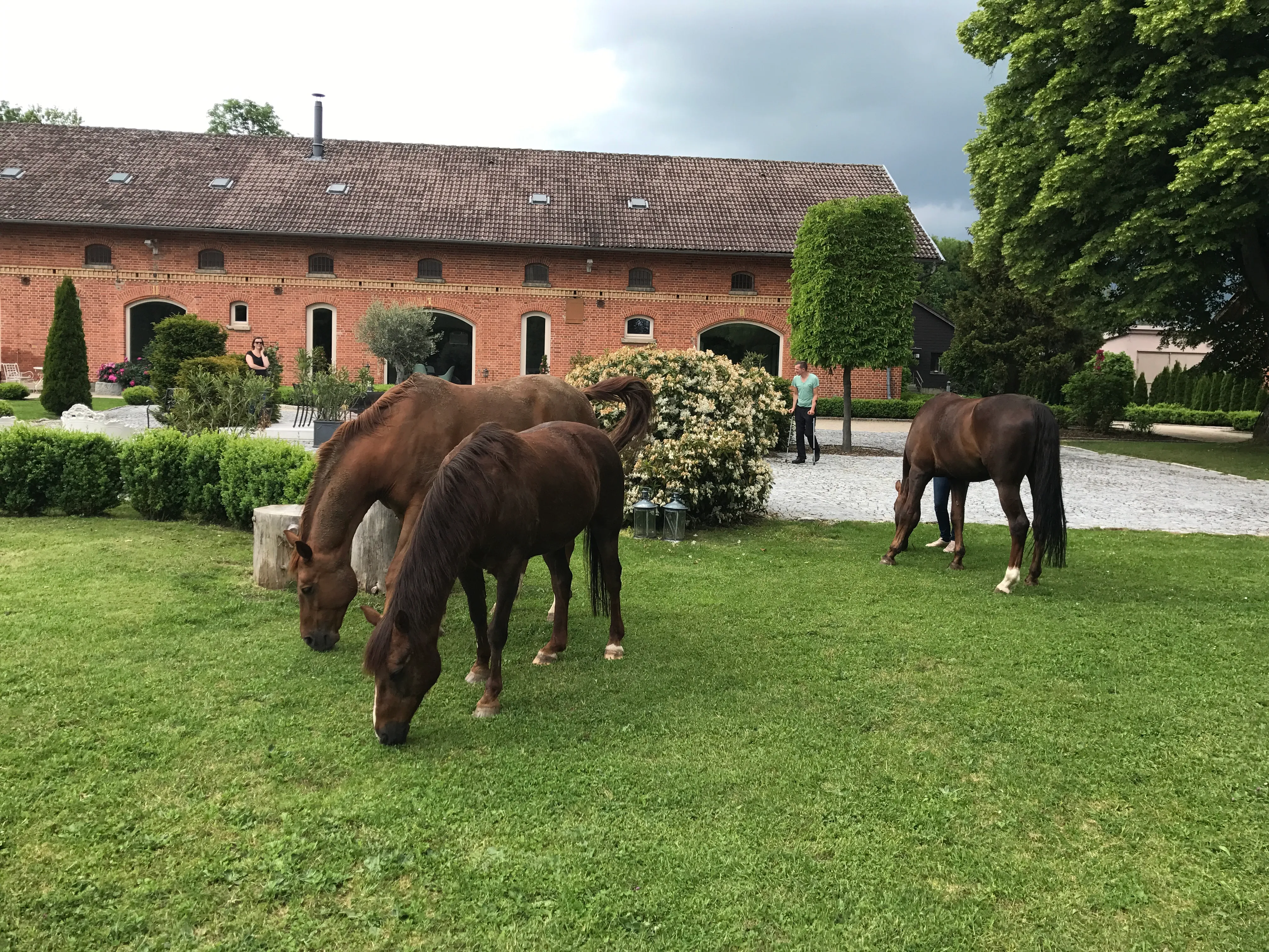 Zwei Pferde grasen auf der Koppel vor den Backsteinställen